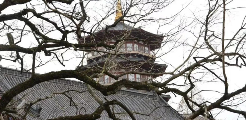 宁波北仑瑞岩禅寺 | 寺院科技之光由金蛹科技点亮