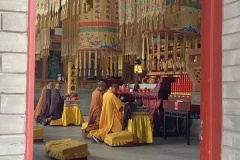 宁波方广寺 | 金蛹科技助力寺院点亮智慧之光